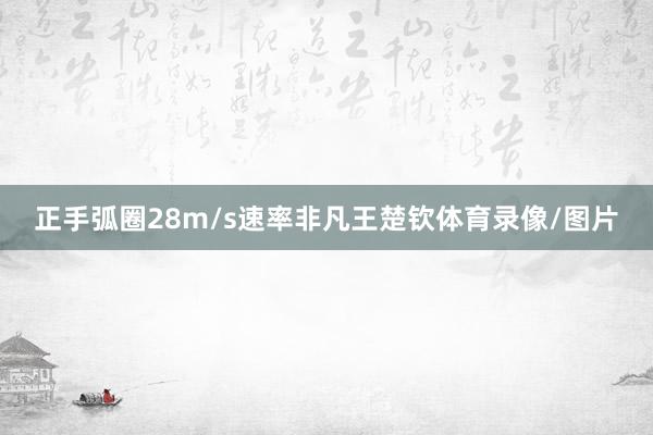正手弧圈28m/s速率非凡王楚钦体育录像/图片